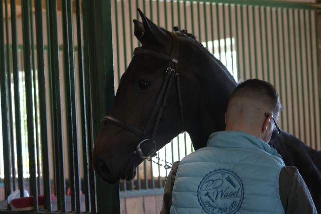 DSC_3743